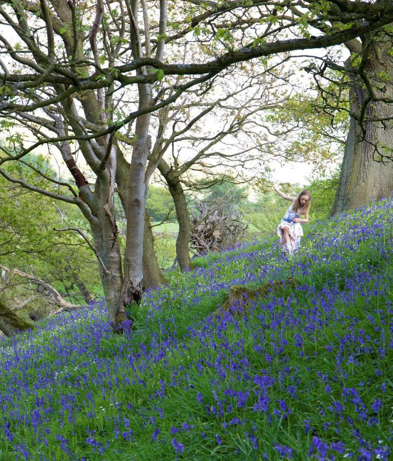Bluebells Cottage Chop Gate Bagian luar foto