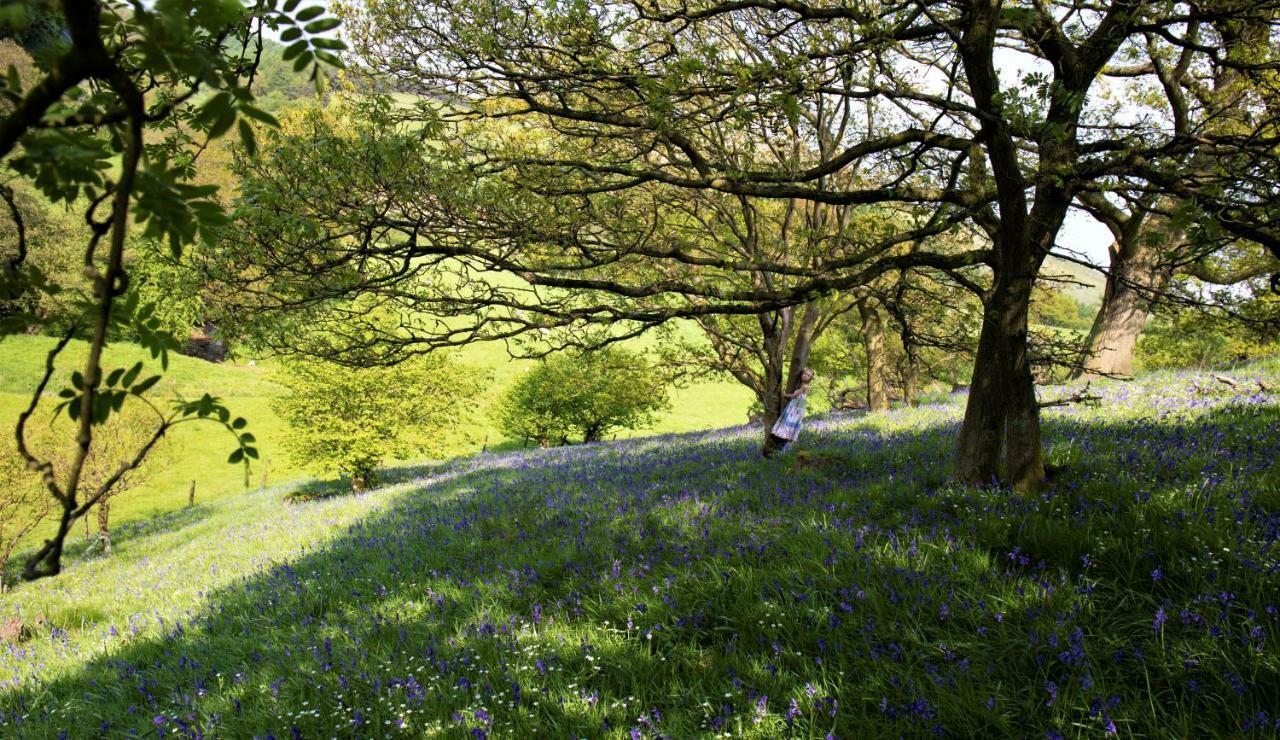Bluebells Cottage Chop Gate Bagian luar foto
